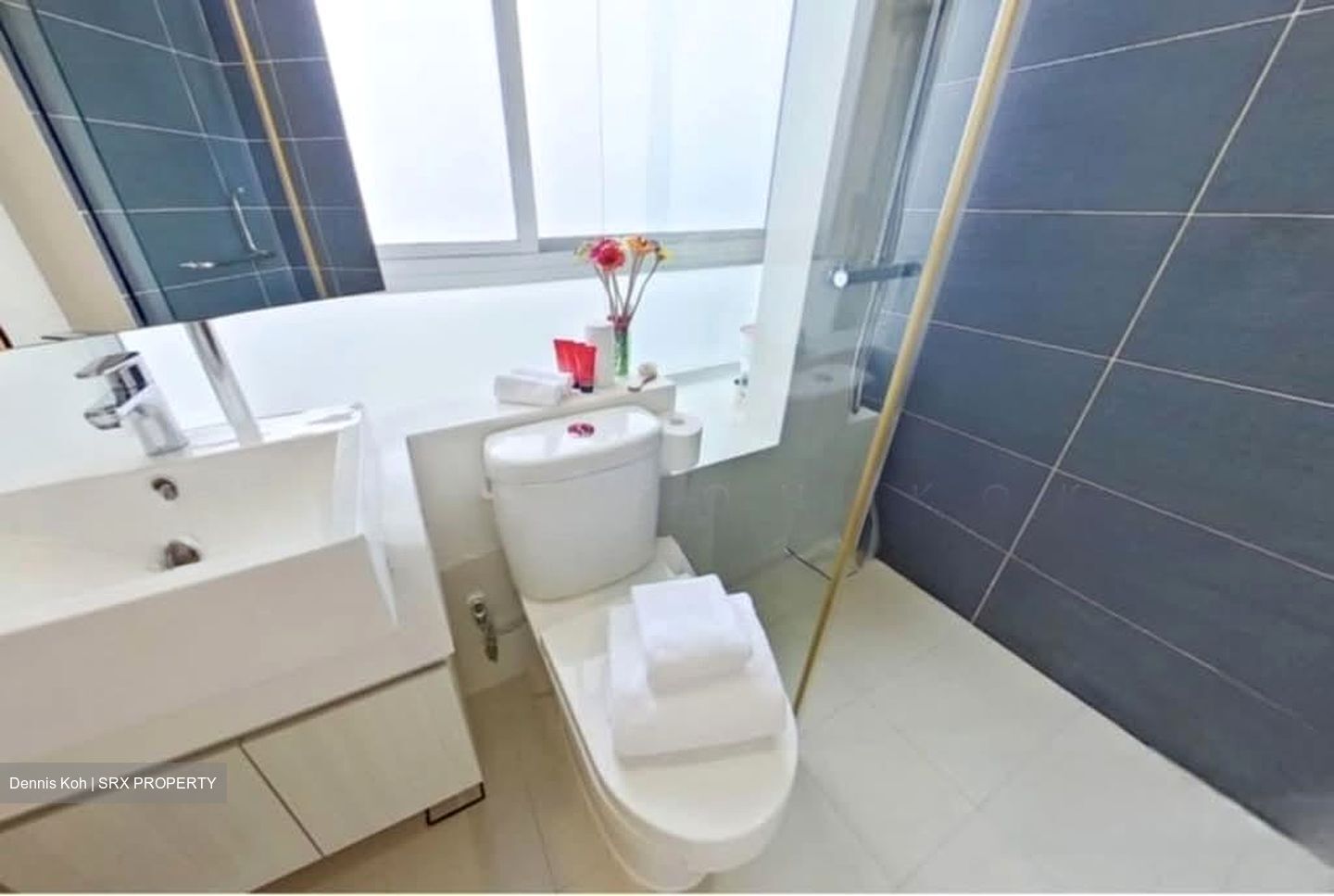 Devonshire Residences (D9), Apartment #550950651
